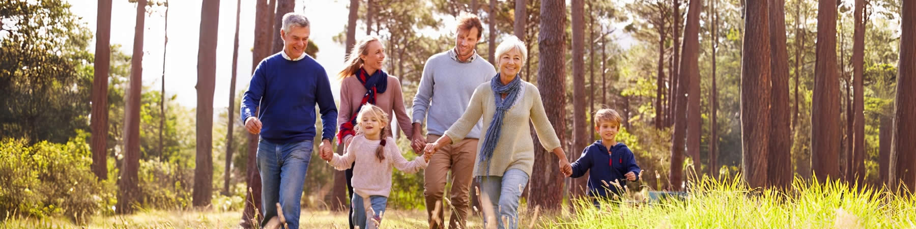 Insurance support in Erhard, Ashby, and Dalton